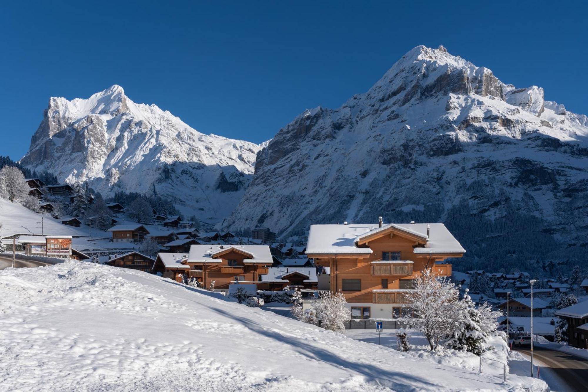 Chalet Alia And Apartments-Grindelwald By Swiss Hotel Apartments מראה חיצוני תמונה
