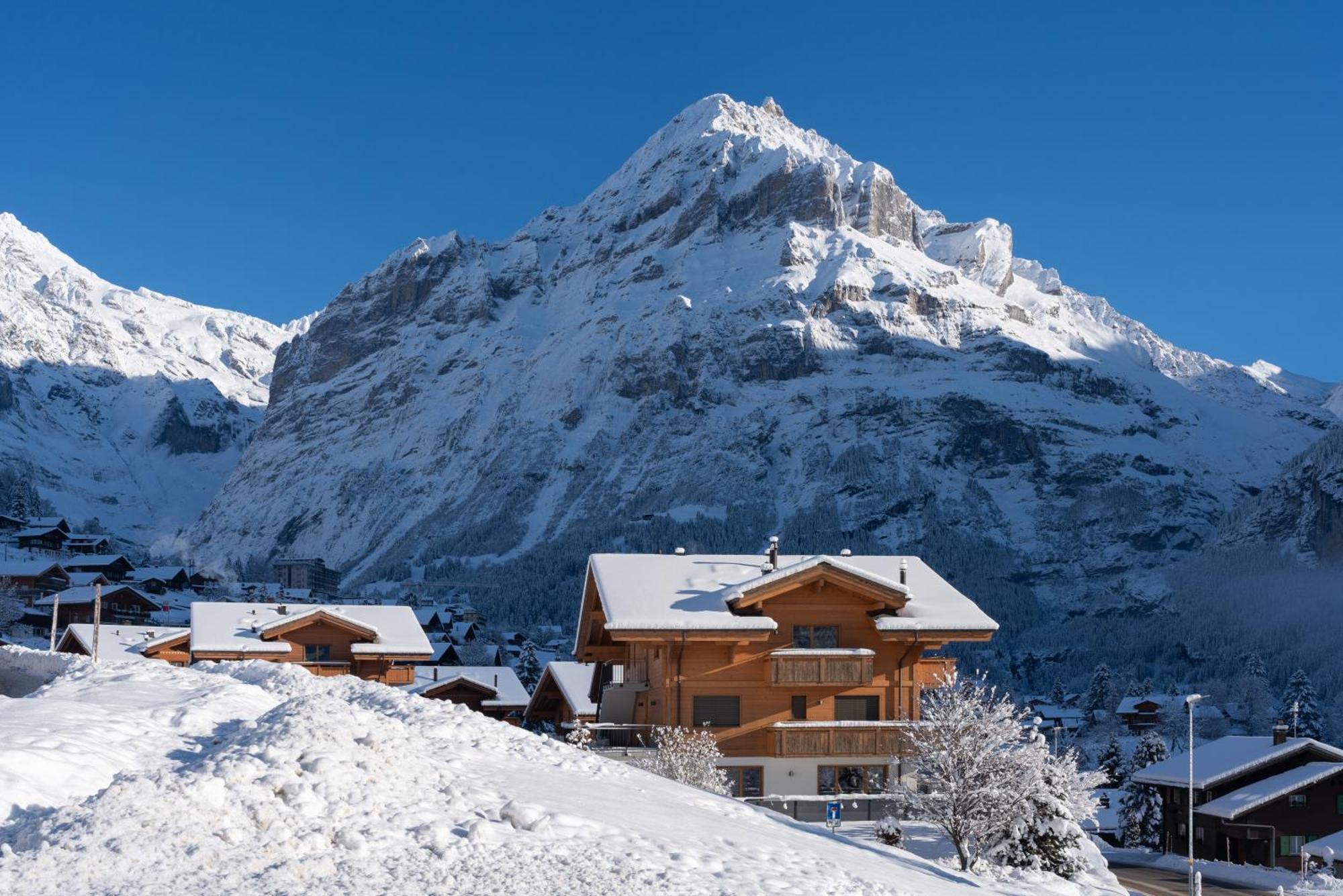 Chalet Alia And Apartments-Grindelwald By Swiss Hotel Apartments מראה חיצוני תמונה