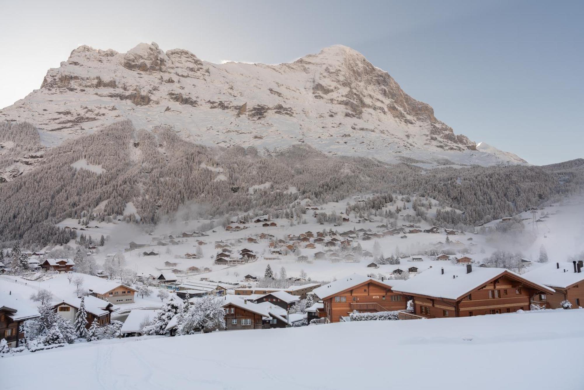 Chalet Alia And Apartments-Grindelwald By Swiss Hotel Apartments מראה חיצוני תמונה