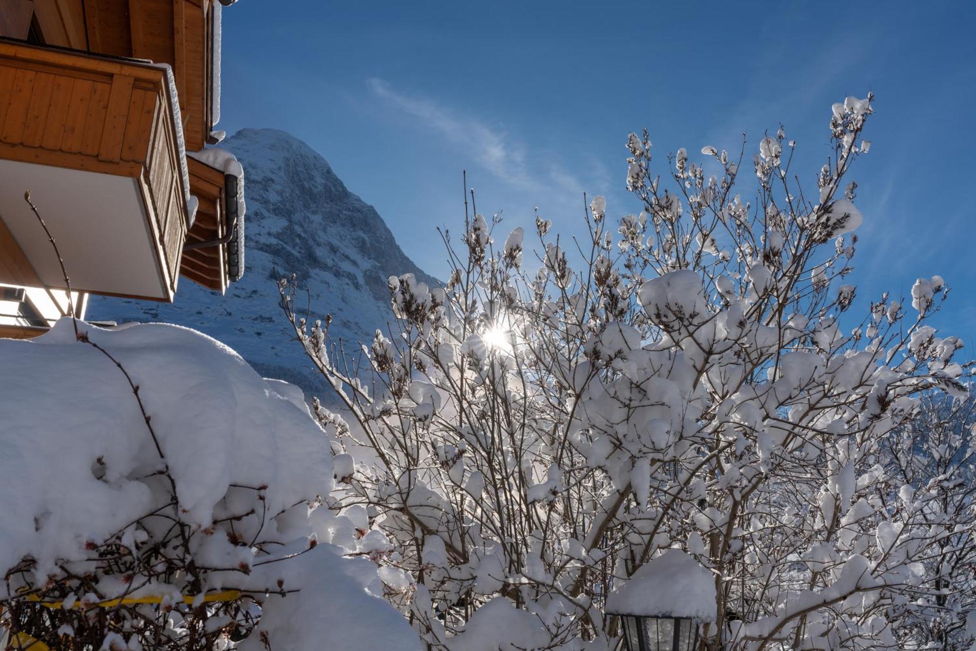Chalet Alia And Apartments-Grindelwald By Swiss Hotel Apartments מראה חיצוני תמונה