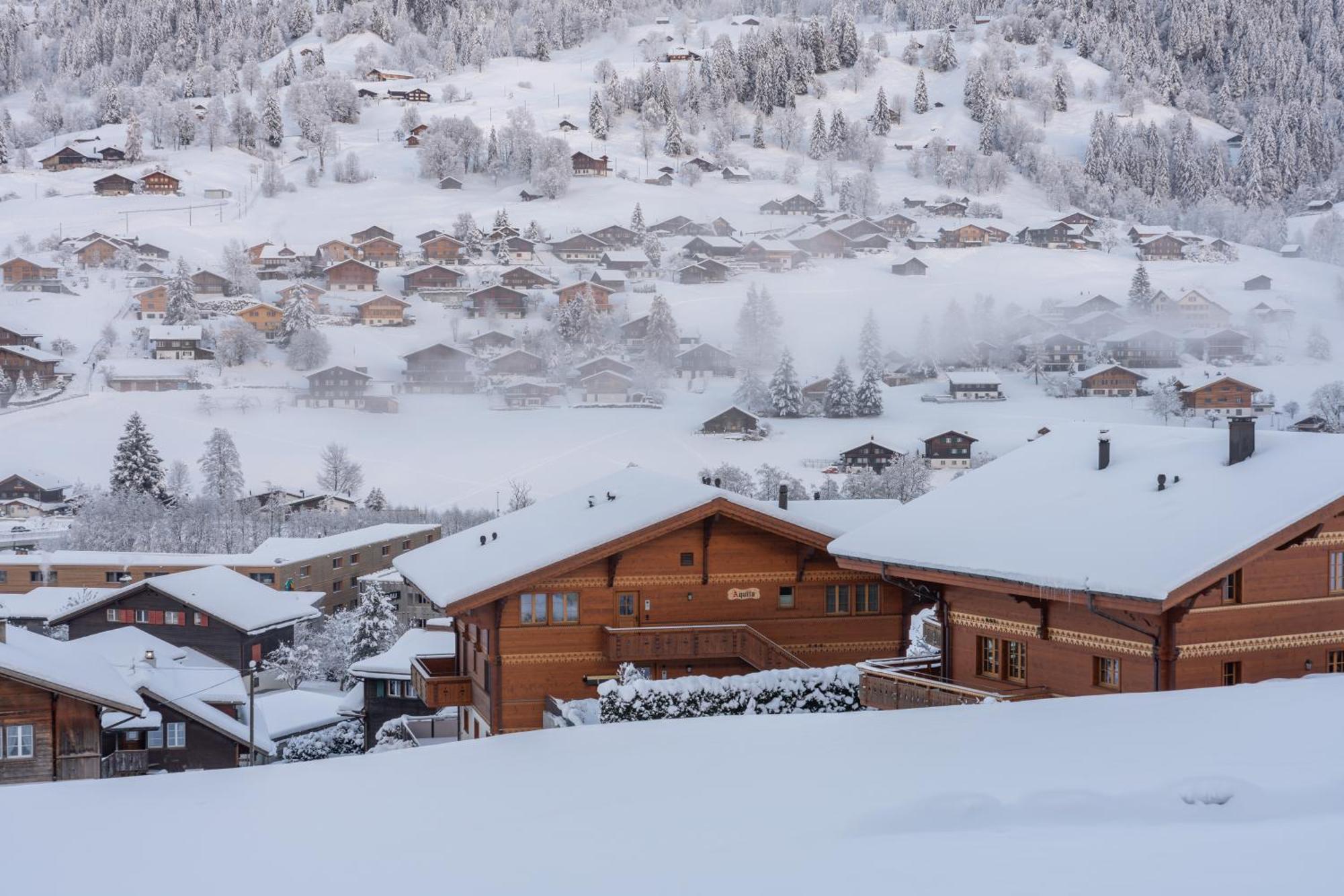 Chalet Alia And Apartments-Grindelwald By Swiss Hotel Apartments מראה חיצוני תמונה