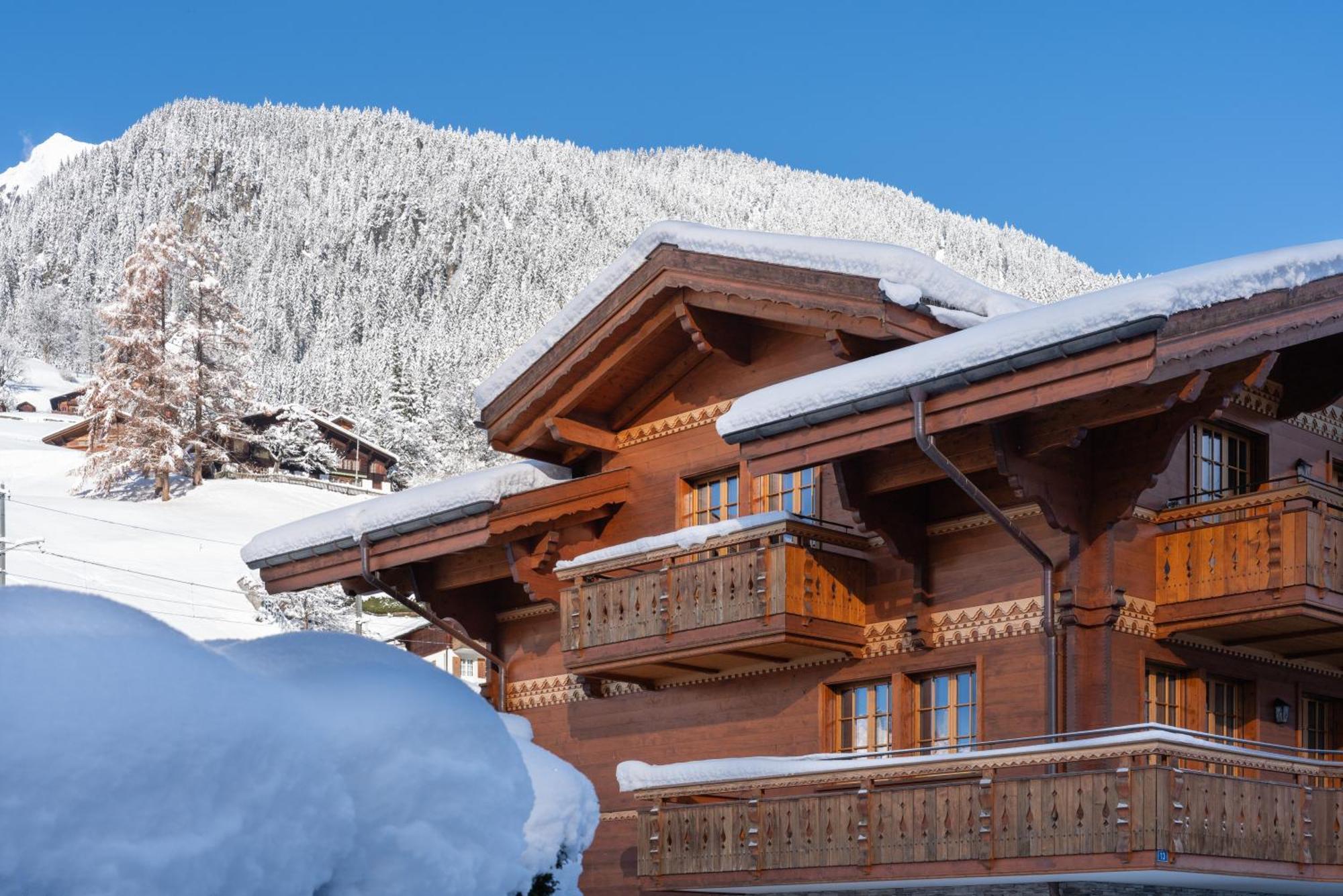 Chalet Alia And Apartments-Grindelwald By Swiss Hotel Apartments מראה חיצוני תמונה