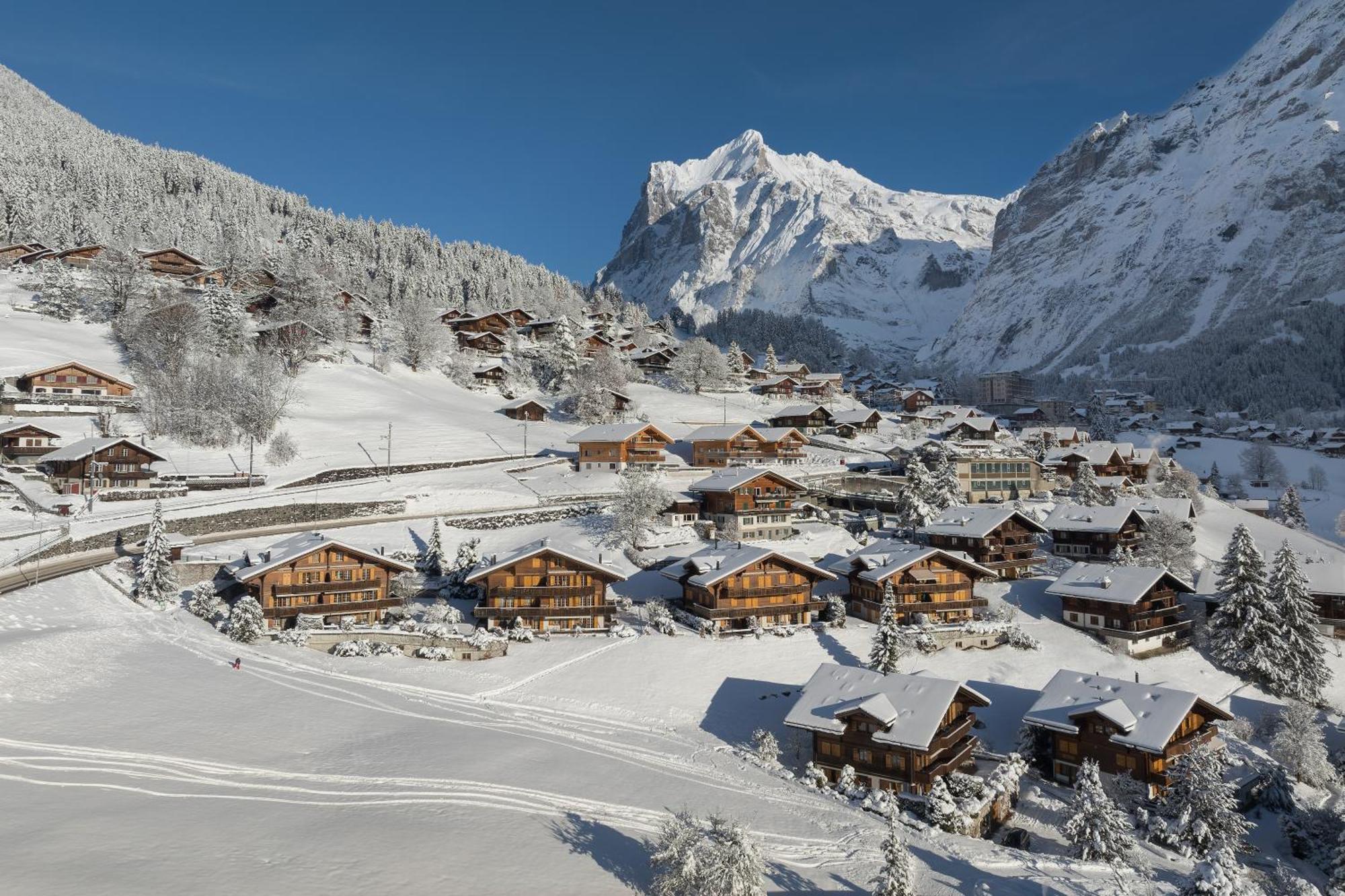 Chalet Alia And Apartments-Grindelwald By Swiss Hotel Apartments מראה חיצוני תמונה