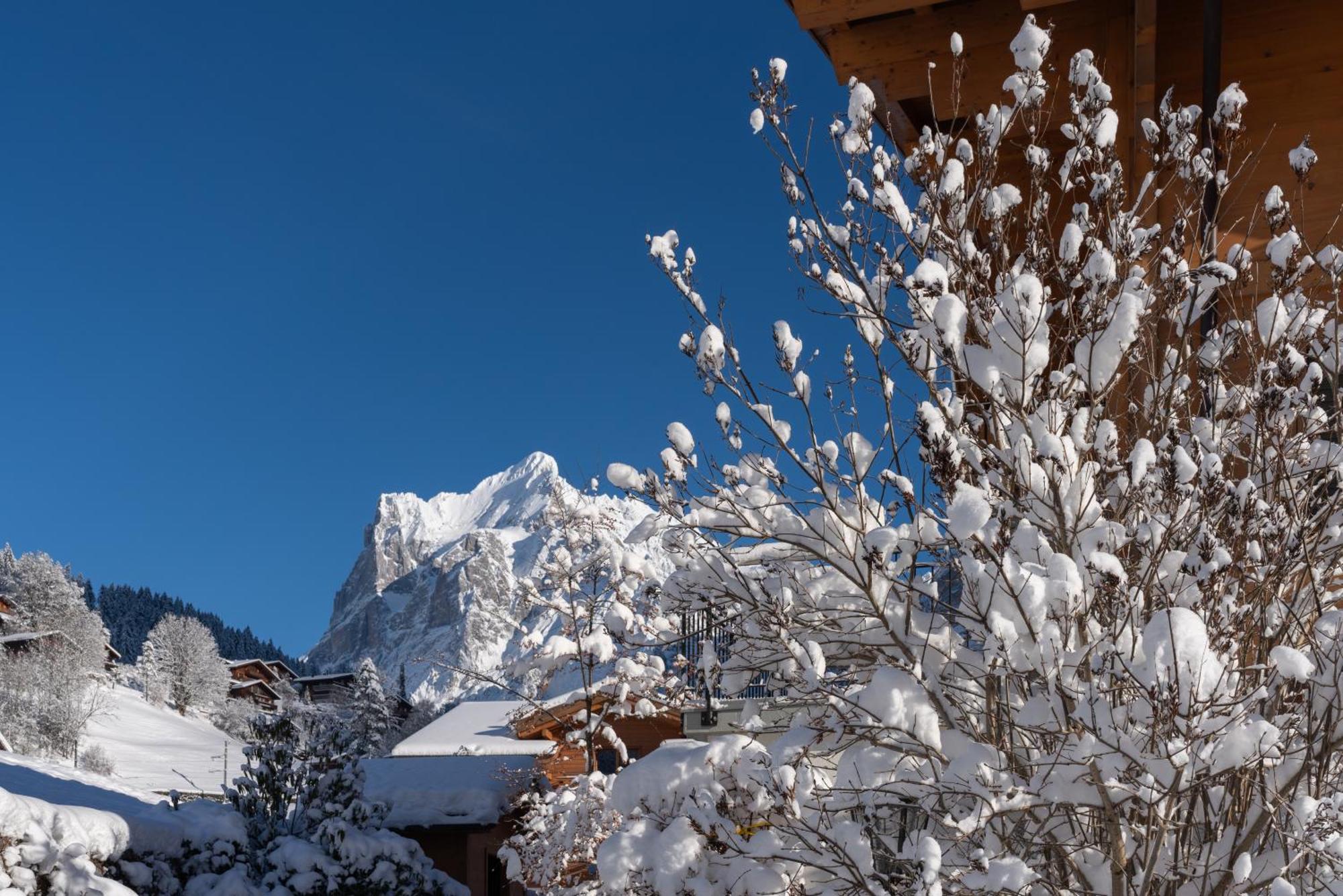 Chalet Alia And Apartments-Grindelwald By Swiss Hotel Apartments מראה חיצוני תמונה